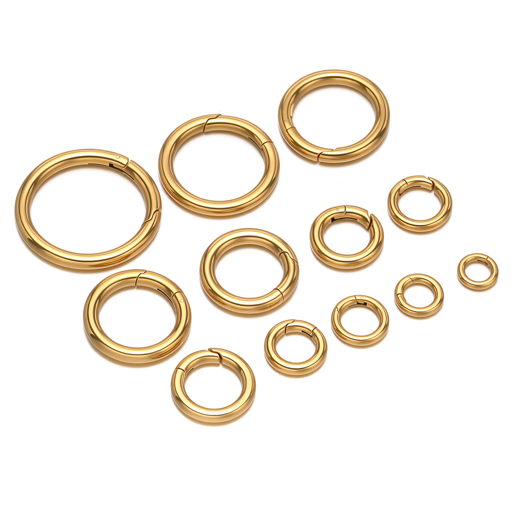 2 stks/partij Ronde Lente Slui - Jewelry Making Metal recensie en prijs