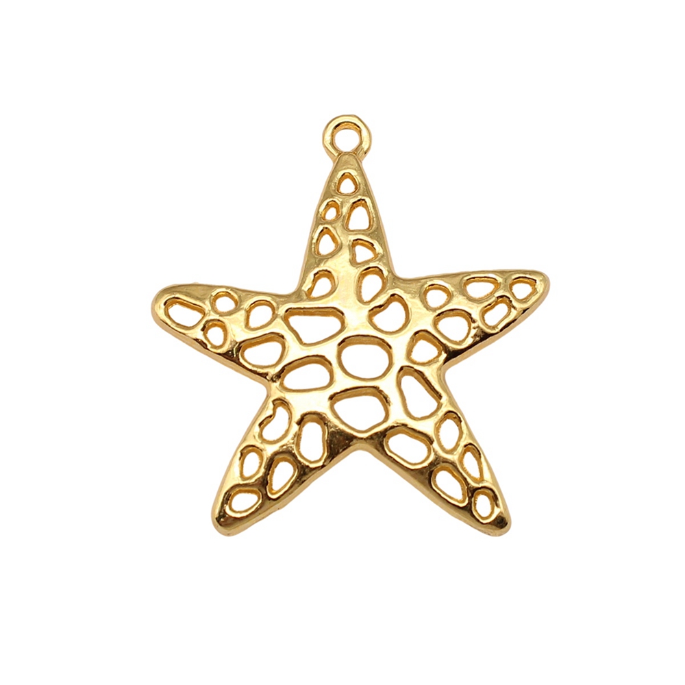 4 Stks/partij Zeester Bedels V - Jewelry Making For Couples recensie en prijs